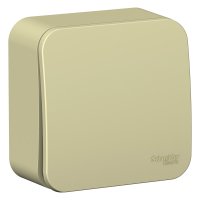 Выключатель Blanca 1-ОП 10А изолирующая пластина бежевый (15/90)