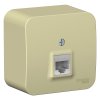 Розетка Blanca RJ45 ОП изолирующая пластина бежевый (12)