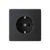 Механизм розетки ArtGallery 1-ая с заземлением карбон (5/20)