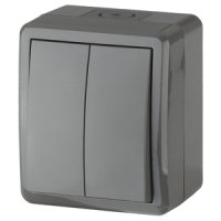 Выключатель Эра Эксперт 2кл IP54 серый (16)