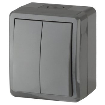 Выключатель Эра Эксперт 2кл IP54 серый (16)