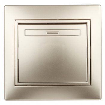 Выключатель Intro Plano 1кл шампань (10)