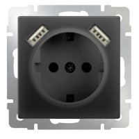 Механизм розетки Werkel 1-ая с заземлением шторки USBx2 чёрный матовый (10)