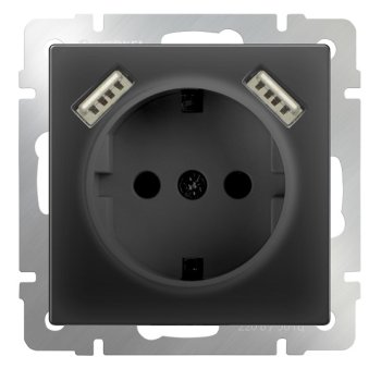 Механизм розетки Werkel 1-ая с заземлением шторки USBx2 чёрный матовый (10)