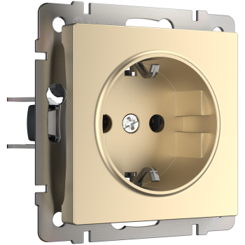 Механизм розетки Werkel 1-ая с заземлением шампань (10)