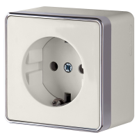 Розетка Werkel Gallant 1-ая с заземлением слоновая кость (10)