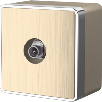 Розетка Werkel Gallant телевизионная шампань рифлёный (10)