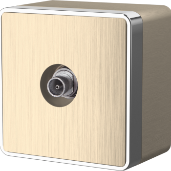 Розетка Werkel Gallant телевизионная шампань рифлёный (10)