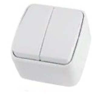 Выключатель TDM Дача 2кл. белый (10/100)