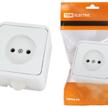 Розетка Орель 1-ая б/з IP44 TDM (10)