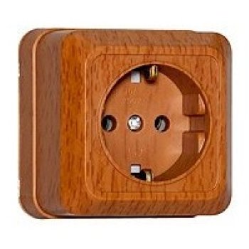 Розетка Олимп 1-ая бук с/з (10/100)