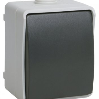 Выключатель IEK Форс 1кл. кнопочный IP54 (10/100)