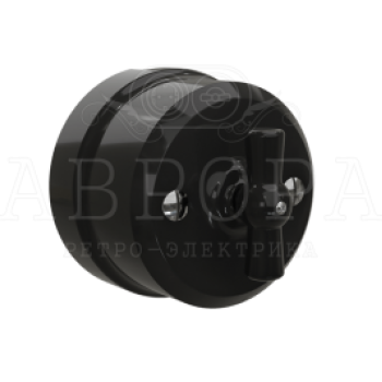 Выключатель Аврора черный 10А НА 2-4 ПОЛОЖЕНИЯ (1-2 КЛАВИШНЫЙ) (6)