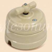 Выключатель Мезонинъ слоновая кость 10А (6)