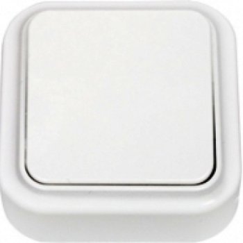 Выключатель Пралеска 1кл. белый (90)