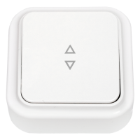 Выключатель Пралеска 1кл. проходной белый (18/72)