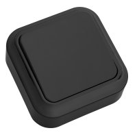 Выключатель Пралеска 1кл. черный (72)