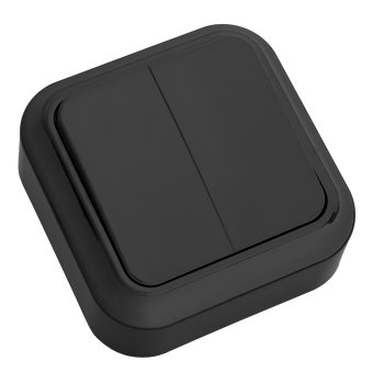 Выключатель Пралеска 2кл. черный (72)