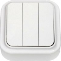 Выключатель Пралеска 3кл. белый (90)