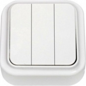 Выключатель Пралеска 3кл. белый (90)