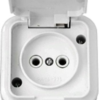 Розетка Пралеска IP54 1-ая белый б/з (60)