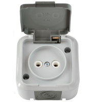 Розетка Пралеска IP54 1-ая серый б/з (60)