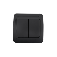 Выключатель CLASSICO 2кл. 2023 черный (10)