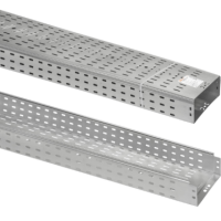 Лоток перфорированный 100х300х3000 0,7мм TDM (6)