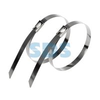 Хомут стальной 7.9x300 10шт Rexant (60)