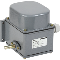 Выключатель концевой IEK ВУ-250М У2 10А 400В IP44 две коммутационных цепи (10)