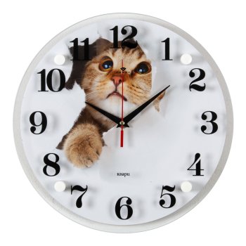 Часы настенные круг стекло d30 Кот в бумаге Рубин (1/10)