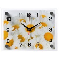 Часы настенные стекло 20*26 Ромашковое счастье Рубин (1/10)