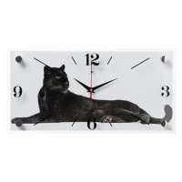 Часы настенные стекло 20*40 Пантера Рубин (1/10)