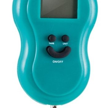 Безмен электронный 50кг 0.01кг LCD 2хR03 Homestar HS-3003 (24)