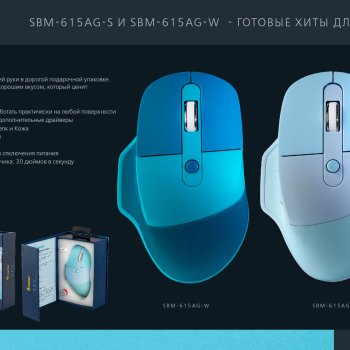 Мышь беспроводная бесшумная SmartBuy 615AG, 6кн, 1200/1600/2400dpi, "Soft-Touch"-покрытие, батарейка в комплекте, Wave, подарочная упаковка (1/40)