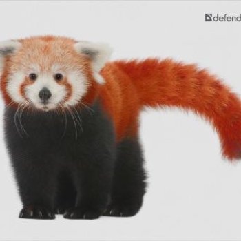 Коврик Defender тканевый Wild Animals 22*18*2 в ассортименте (8 видов) (1/8)