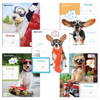 Тетрадь 24л. А5 клетка Brauberg MY BEST FRIEND обложка мелованный картон (9/18)