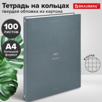Тетрадь 100л. А4 клетка Brauberg "Rhythm" на кольцах твёрдый картон серый (1/10)