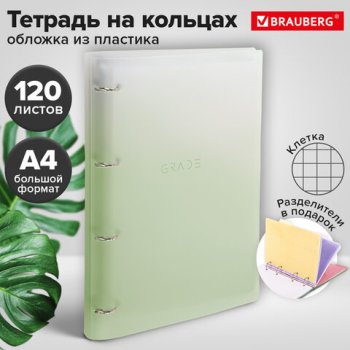Тетрадь 120л. А4 клетка Brauberg на кольцах пластик с разделителями зелёный (1/15)
