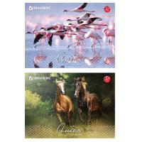 Альбом для рисования А4 32 листа Brauberg "Живая природа"  100г/м2  200*283мм скоба обложка картон АССОРТИ (10/30)