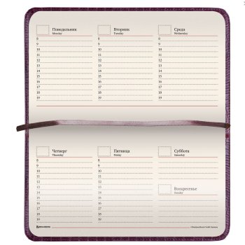 Еженедельник недатированный  А6 Brauberg "Alligator" 95*155мм 72л. фактурная кожа кремовый блок коричневый (1)