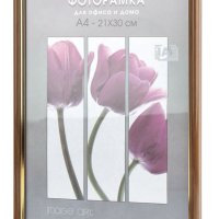 Рамка пластик 15x21 Interior Office 13мм 588 карельск береза (25)