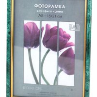 Рамка пластик 21x30 Interior Office 13мм 585 малахит (1/25)