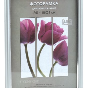 Рамка пластик 21x30 Interior Office 13мм 590 мат серебро (25)