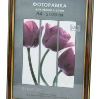 Рамка пластик 21x30 Interior Office 20мм 283 яшма (1/25)