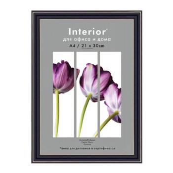 Рамка пластик 21x30 Interior Office 20мм 289/209 черный (1/25)