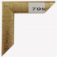 Рамка пластик 21x30 Зебра 2,2мм 709 золото (25)