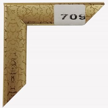 Рамка пластик 21x30 Зебра 2,2мм 709 золото (25)