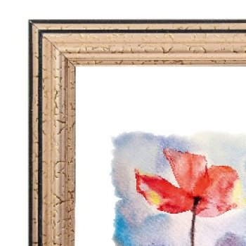 Рамка пластик 24x30 Зебра 1,7мм 3904 золото (25)