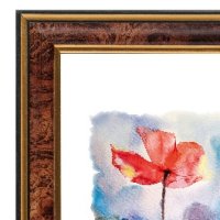 Рамка пластик 25x38 Зебра 1,7мм 3925 орех (25)